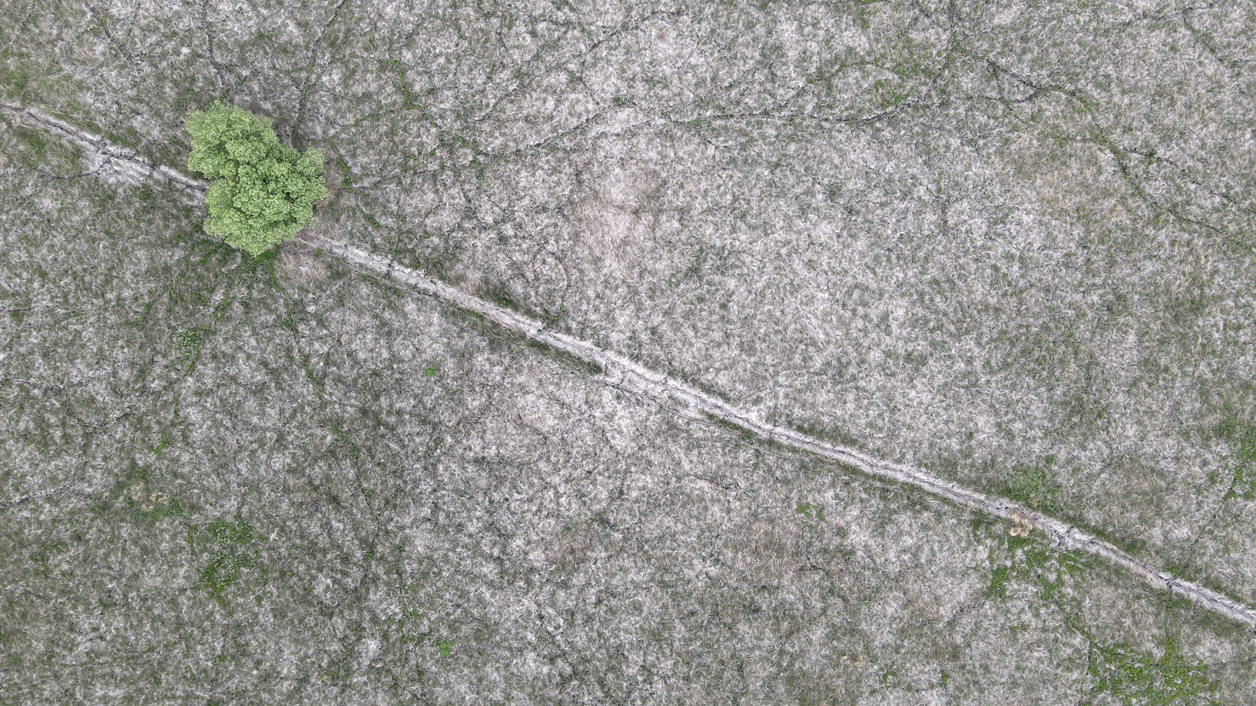 12.Rentières.jpg