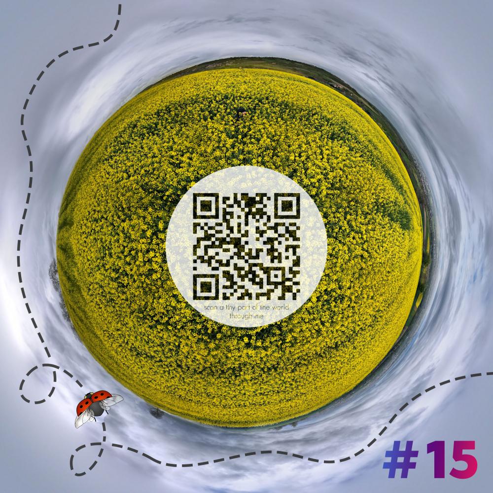 Mini-planet with 360 degrees qr code #15