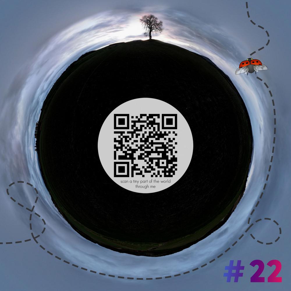 Mini-planet with 360 degrees qr code #22