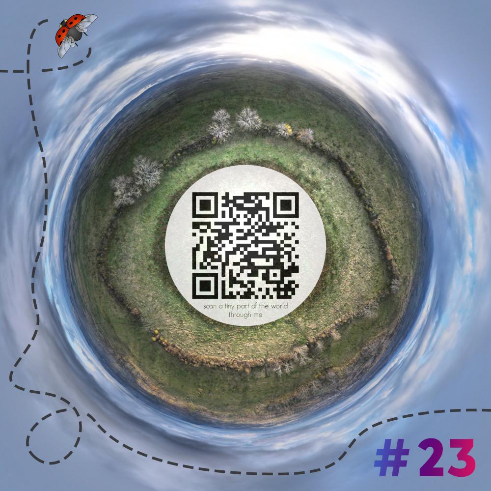 Mini-planet with 360 degrees qr code #23