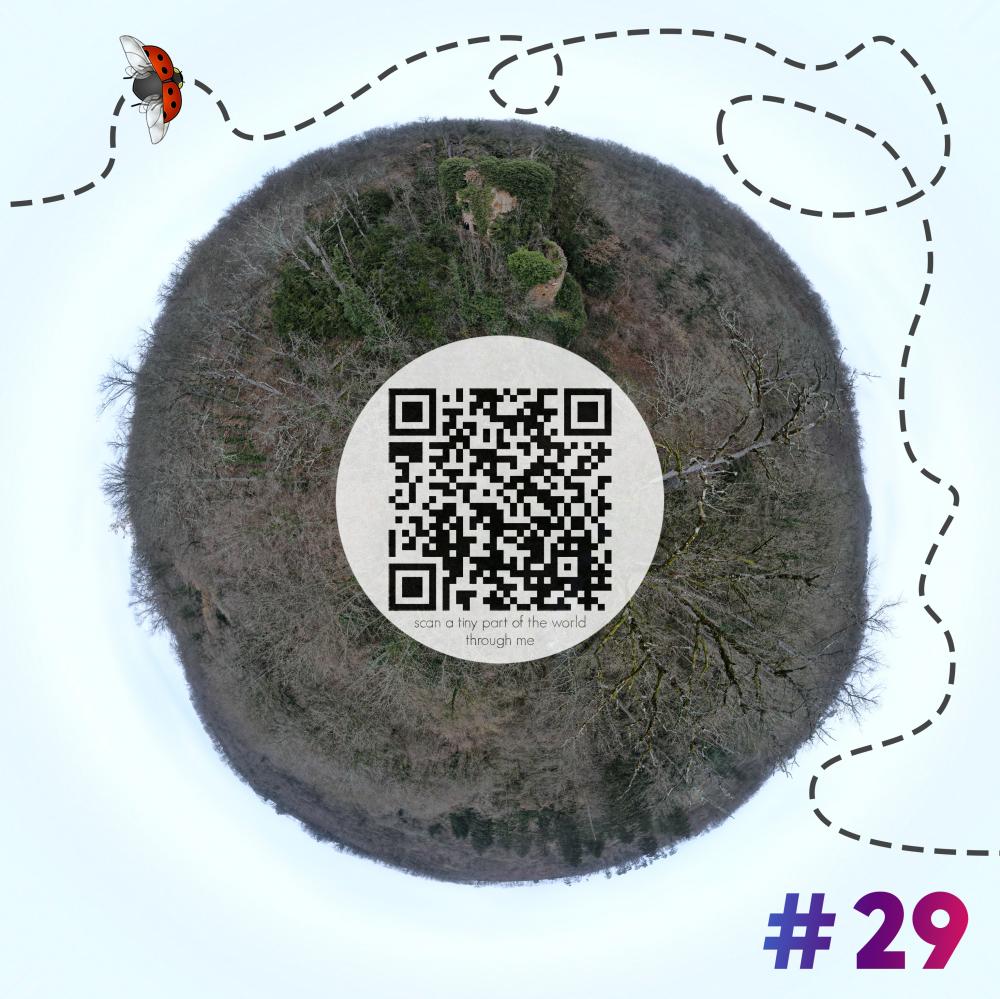 Mini-planet with 360 degrees qr code #29