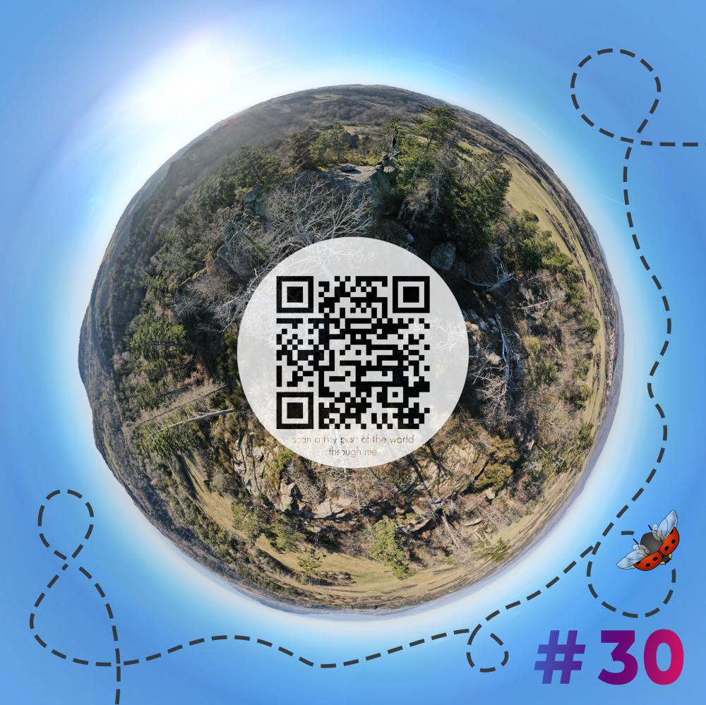 Mini-planet with 360 degrees qr code #30