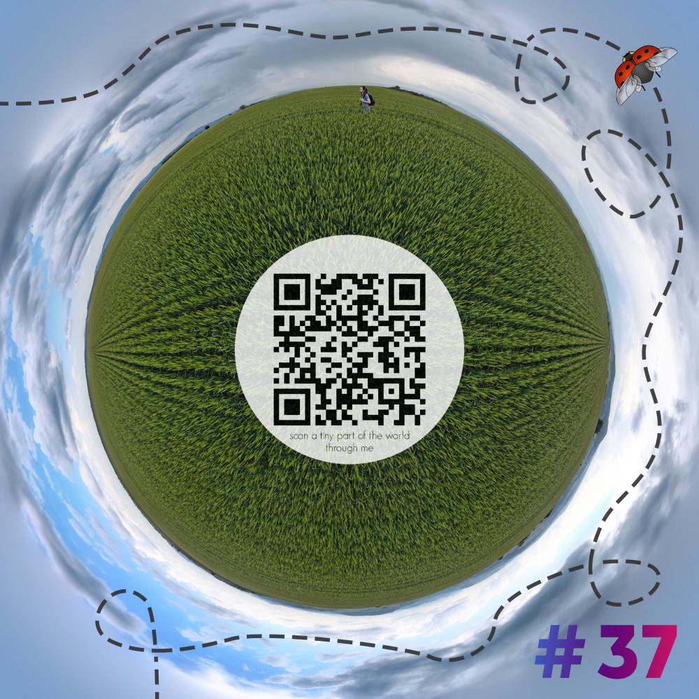 Mini-planet with 360 degrees qr code #37