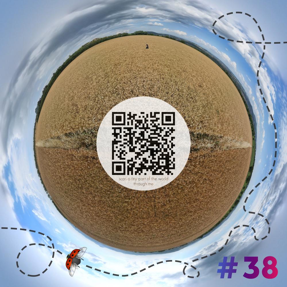 Mini-planet with 360 degrees qr code #38