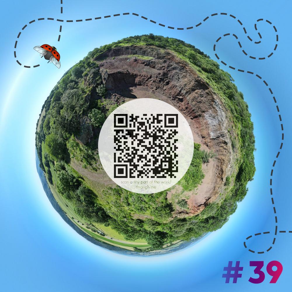 Mini-planet with 360 degrees qr code #39