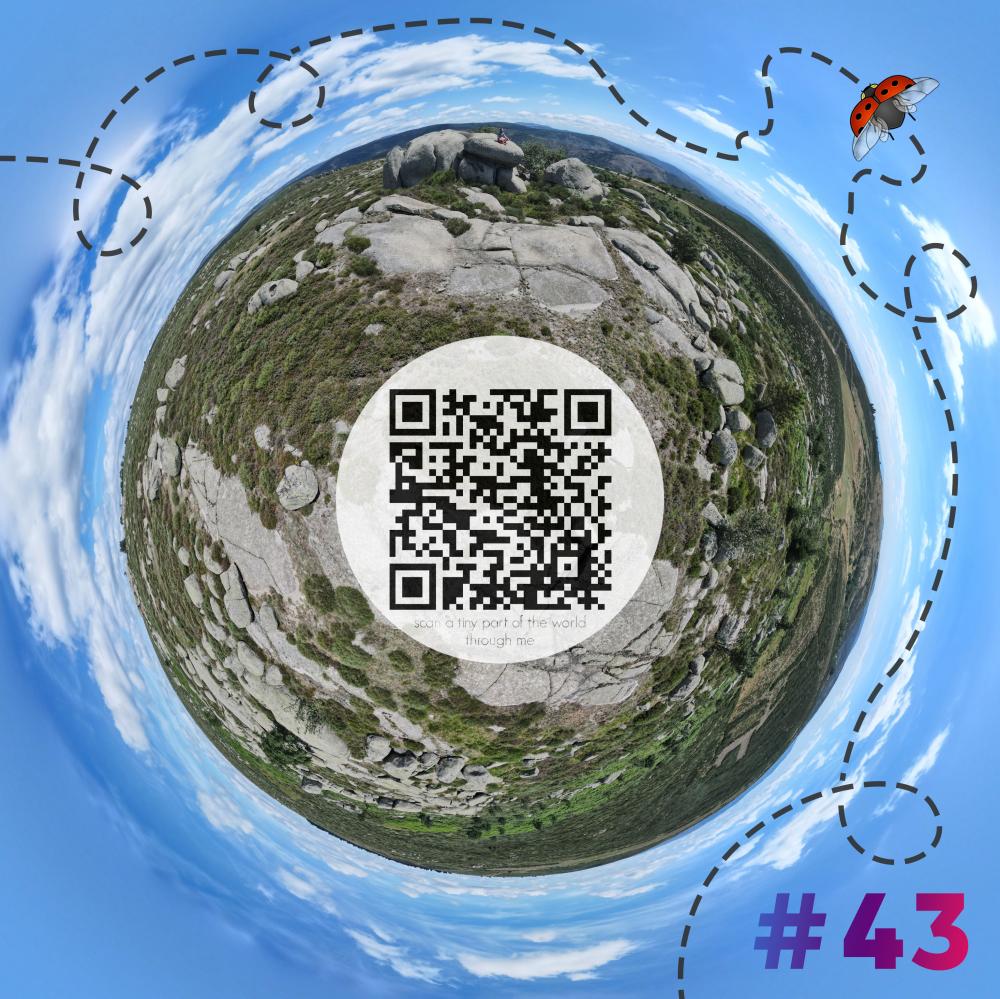 Mini-planet with 360 degrees qr code #43