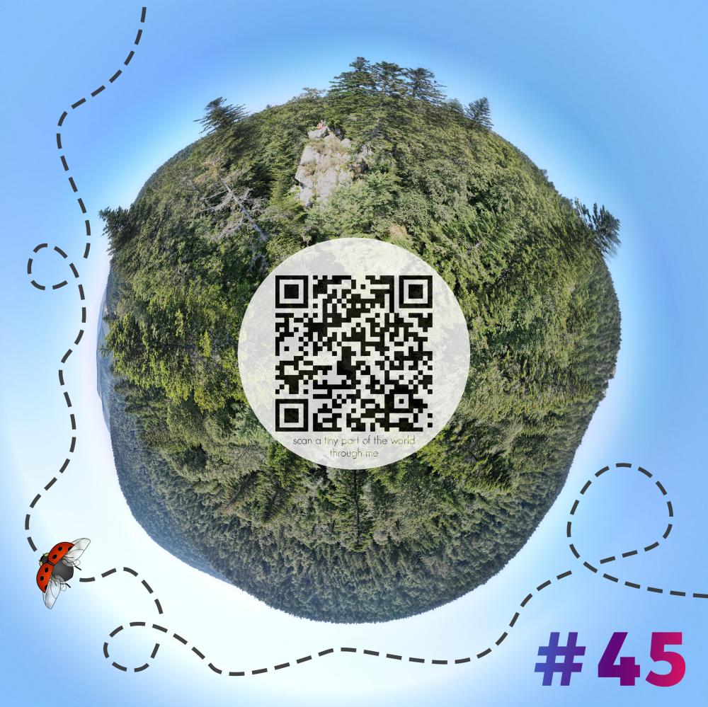 Mini-planet with 360 degrees qr code #45