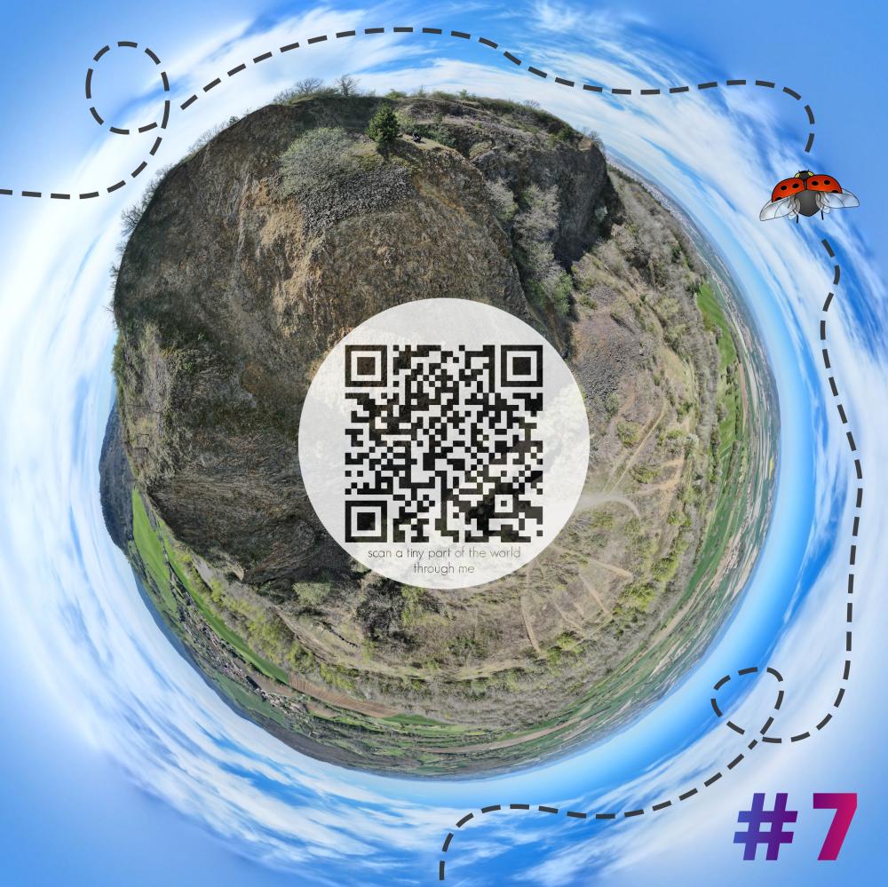 Mini-planet with 360 degrees qr code #7